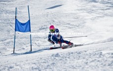 竞技宝官方网站-美国队长般传奇！维斯塔潘周末夺冠后，比肩汉密尔顿伟业